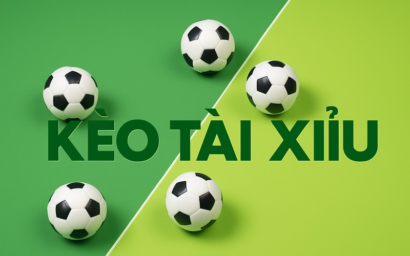 Hướng dẫn người mới đọc kèo chuẩn Hướng dẫn người mới đọc kèo chuẩn