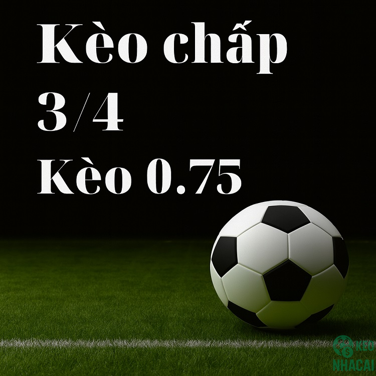 Kèo 0.75 là gì? Kèo 0.75 là gì?