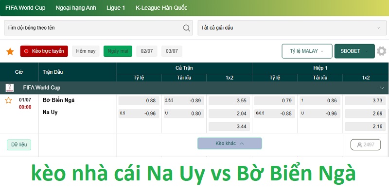 kèo nhà cái Na Uy vs Bờ Biển Ngà